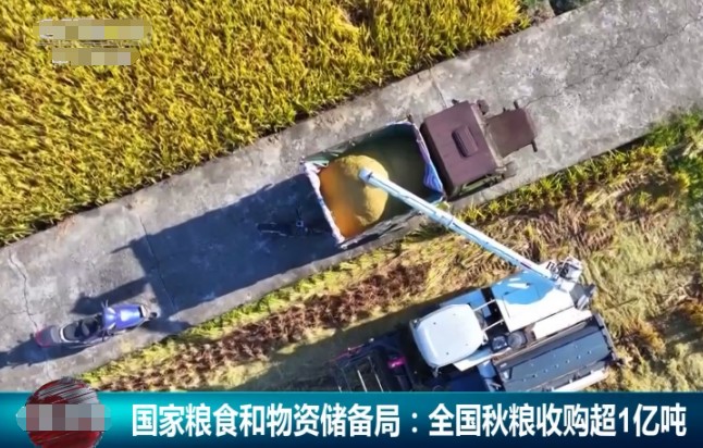 全国秋粮收购超1亿吨，进度快于去年