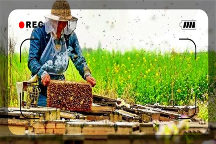 一个58岁人身上只有1500元,在农村怎么开始创业?推荐一些