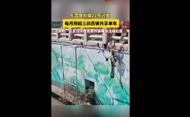 共享单车被丢河里每月可捞数百辆,每捞起一辆需6人配合，涉犯罪