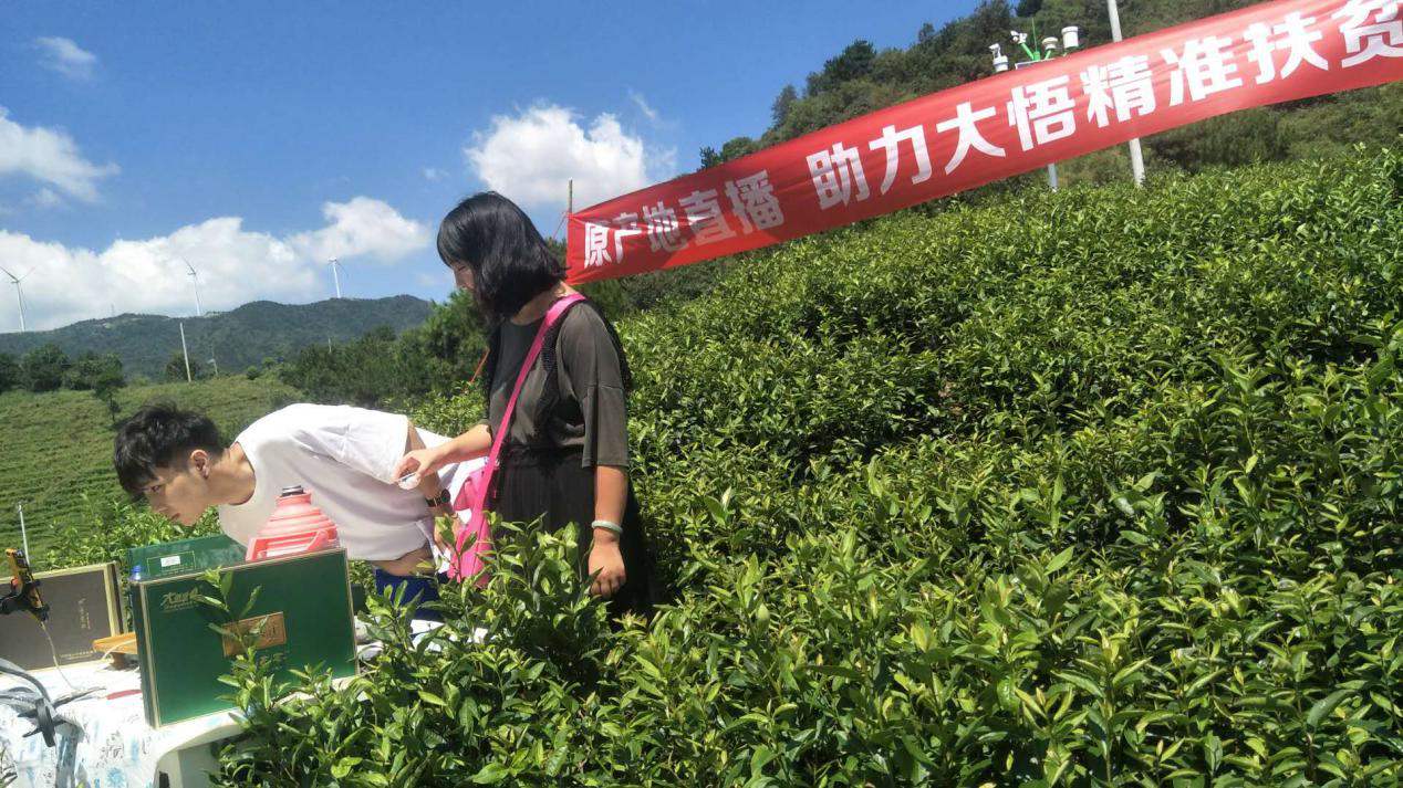 未来农村将现4大机遇,普通人也能布局,专家呼吁赶紧去农村买地