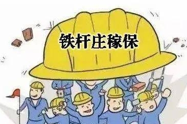 铁杆庄稼保险的保障范围