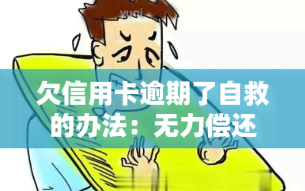 信用卡无力偿还怎么办，2分钟解决信用卡无力偿还