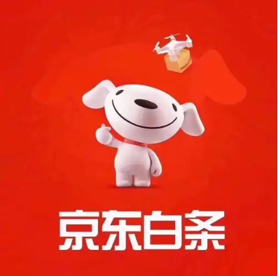 京东的白条是什么意思？怎么使用的？