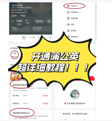 小红书蒲公英是干什么的?入口在哪?