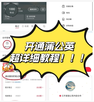 小红书蒲公英是干什么的?怎么开通的?