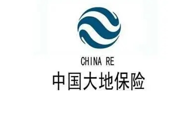 大地保险公司实力
