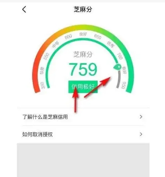 闲鱼怎么授权芝麻信用认证?需要多久?
