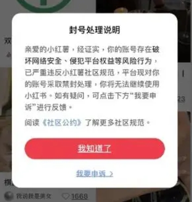 小红书无法搜索东西了怎么回事？如何解决？