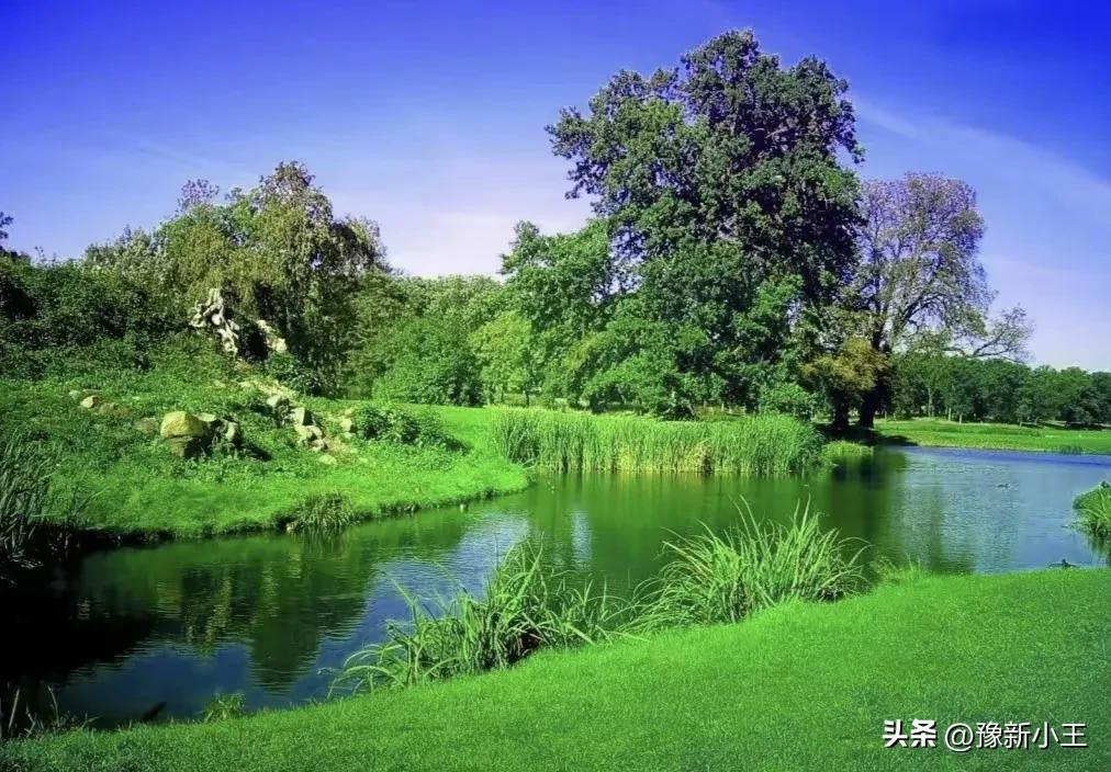 在抖音发中视频如何获得收益(自媒体赚钱方法)